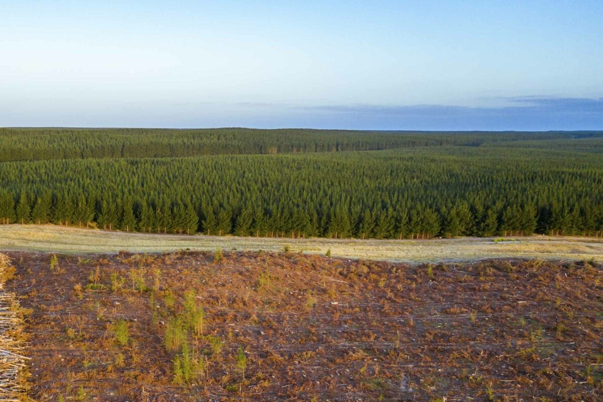 Carbon offset project Australia