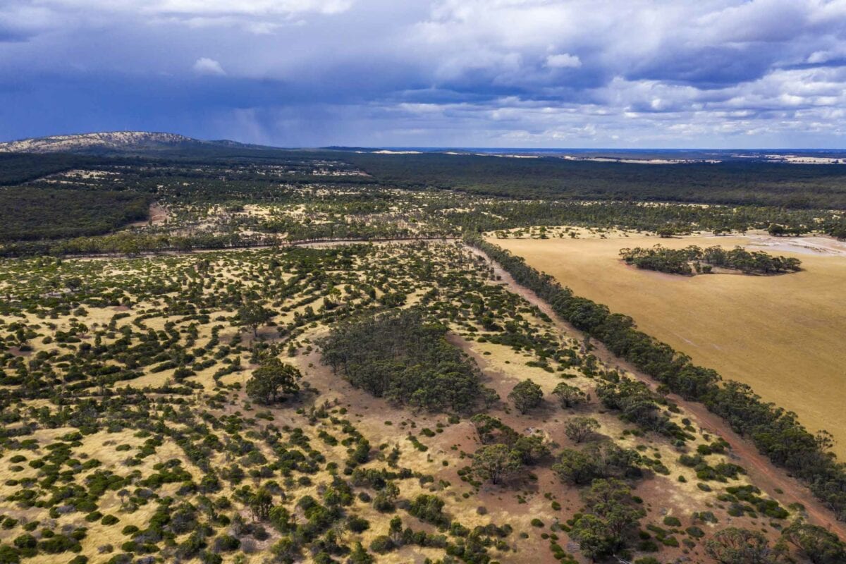carbon-offset-image-description-medium_5