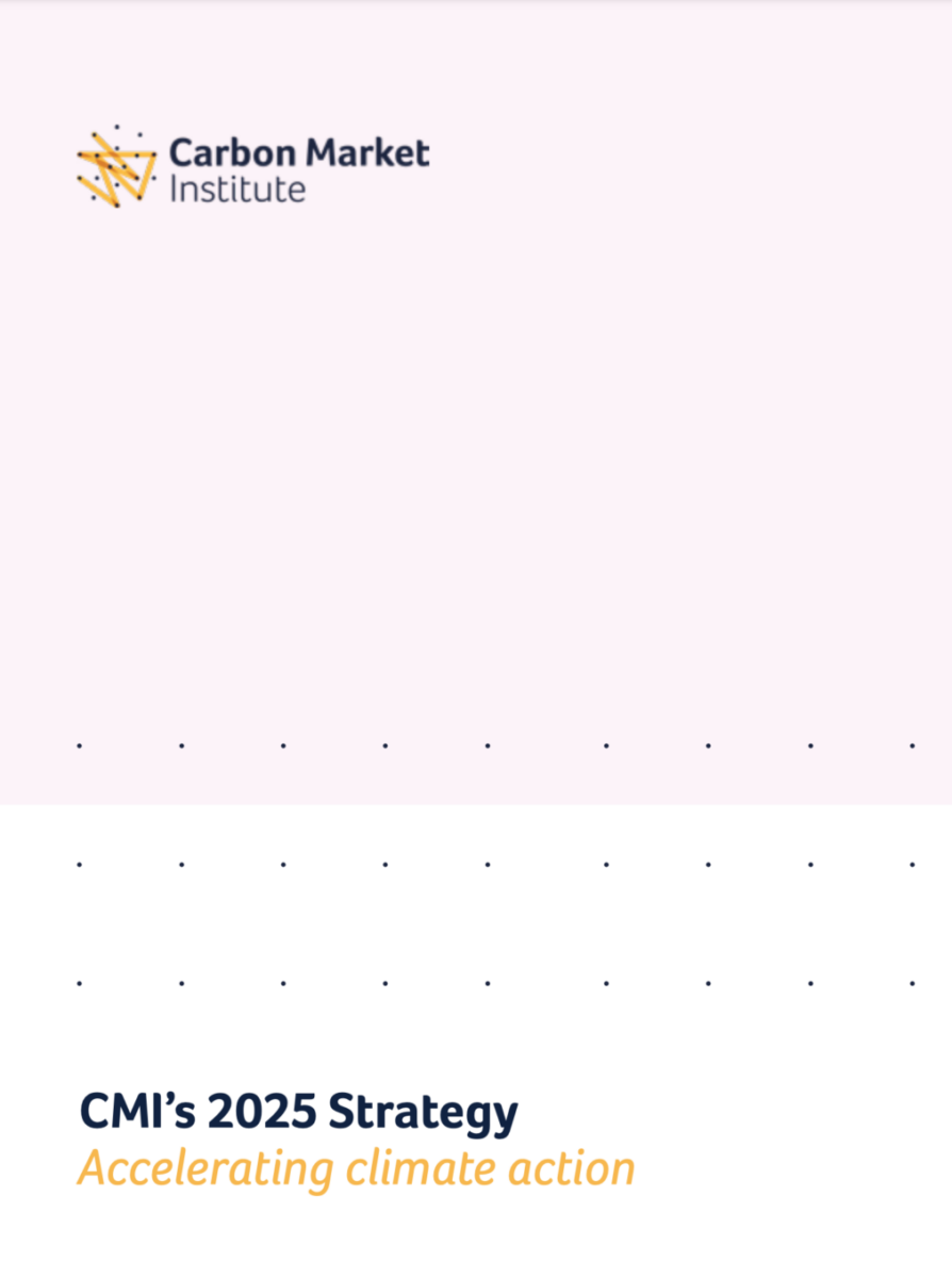 2025 strategy