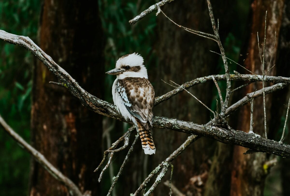 ryan-cuerden-Yurbs2Rtgpo-unsplash 2