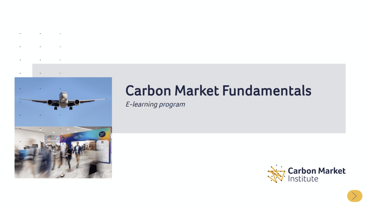 Carbon Market Fundamentals