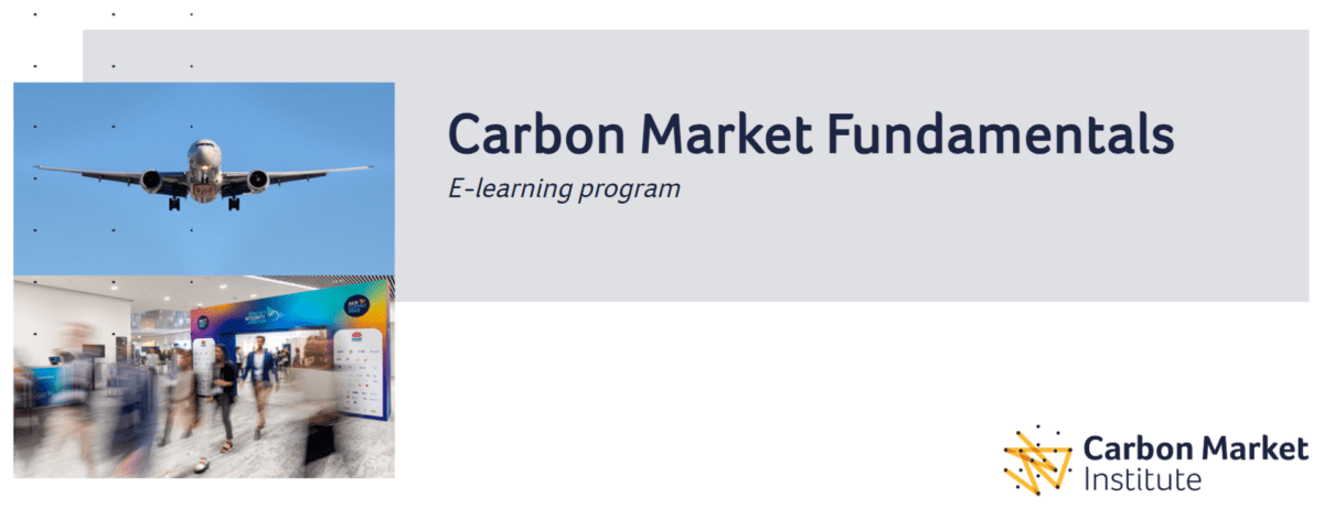 Carbon Market Fundamentals