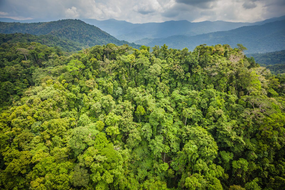 April Salumei REDD+ project, Papua New Guinea
